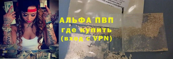 индика Корсаков