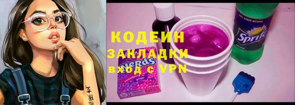 индика Корсаков