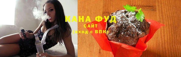 индика Корсаков