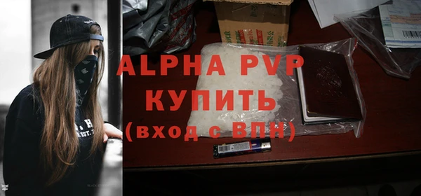 винт Коряжма