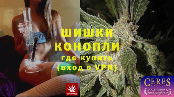 индика Корсаков