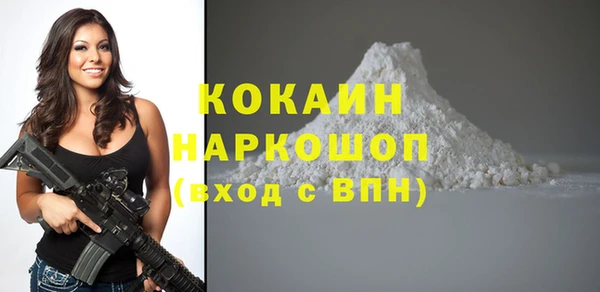 индика Корсаков