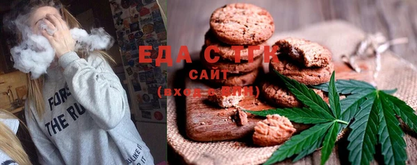 индика Корсаков