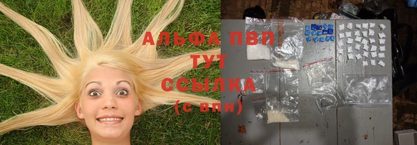 винт Коряжма