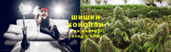 индика Корсаков