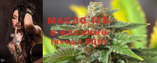 индика Корсаков