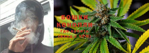 индика Корсаков