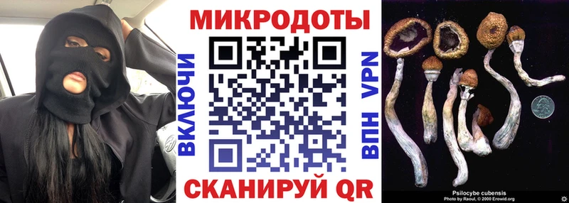 Псилоцибиновые грибы MAGIC MUSHROOMS  наркотики  Чернушка 