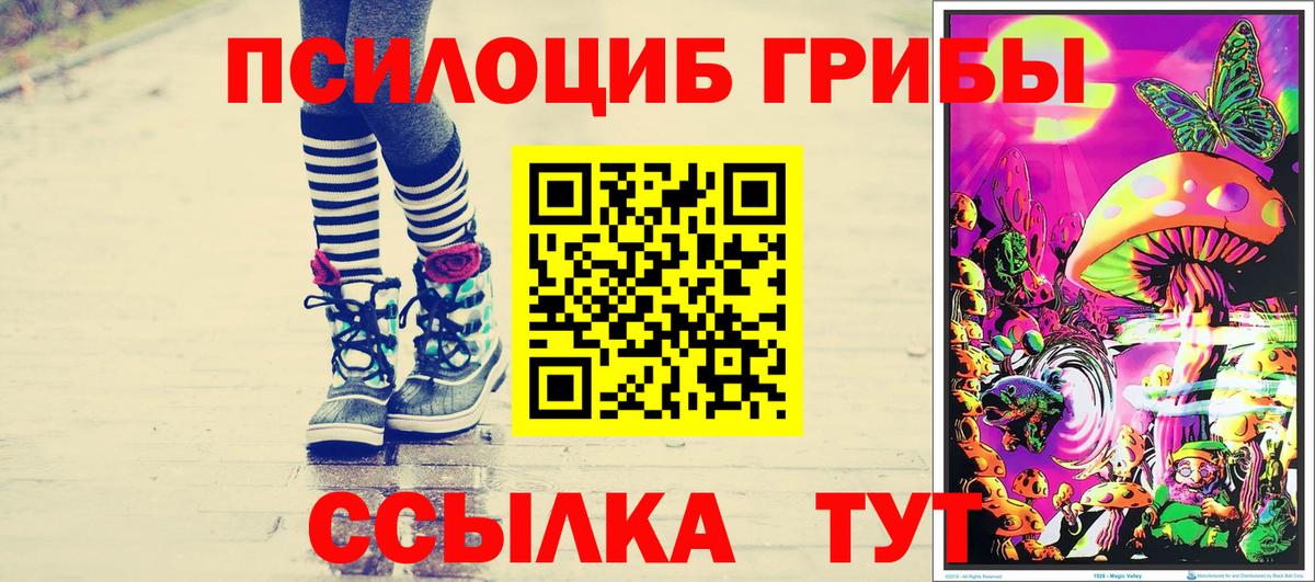 Галлюциногенные грибы Cubensis Чернушка