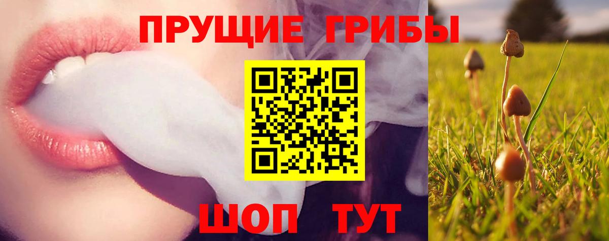 Псилоцибиновые грибы Magic Shrooms  Вход с VPN  Чернушка  Галлюциногенные грибы GOLDEN TEACHER 